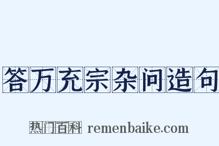 答万充宗杂问造句是什么意思的图片